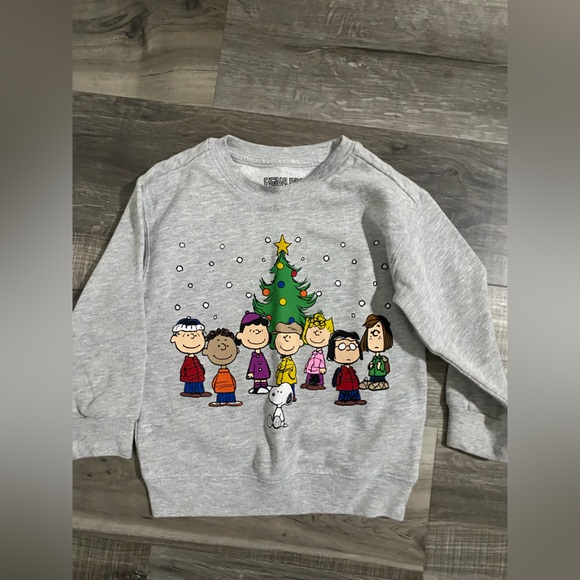 Peanuts Other - Kids Gray Peanuts Christmas Sweatshirt